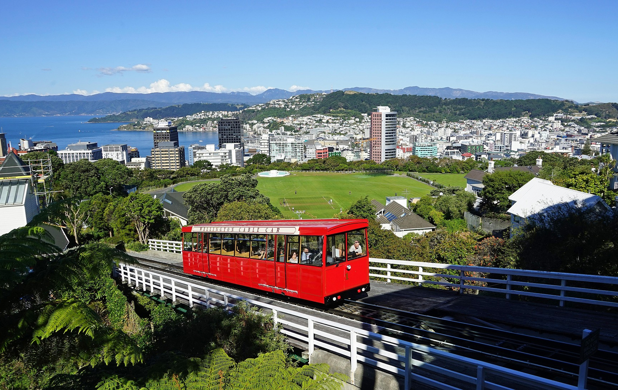 Wellington Web Design | NZ's WordPress Experts